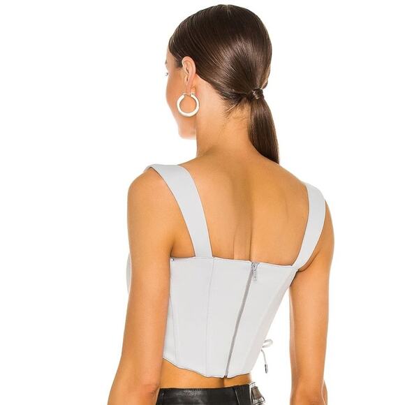 DANIELLE GUIZIO Classic Fitted Corset in Blue NWOT Size XL - Picture 3 of 3